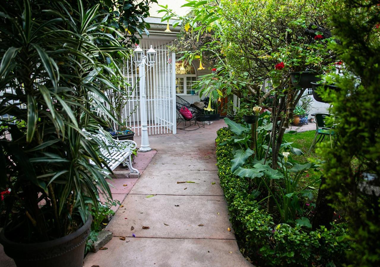 Casa San Pedro Bed & Breakfast *